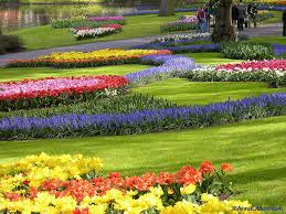 http://t2.gstatic.com/images?q=tbn:ANd9GcT7DJ8iAbdHZz3syM5SszrBKmvXQP5eM8gSmsTbKFMPrz1TMoHptulnuOppHw