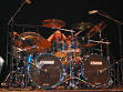 Danny Carey - Wikipedia, the free encyclopedia
