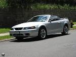 2001 Ford Mustang SVT Cobra id 8662 | Motortopia
