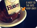 Wifely Steps » Blog Archive » How to keep ants away from honey