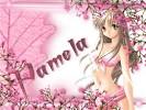 Graffitis Con El Nombre De Pamela