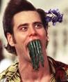 Review: Ace Ventura, emerging