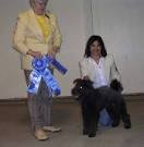 Hungarian Pumi Club of America
