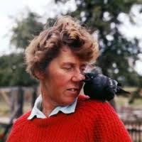 Picture of mary holmes animal trainer with jackdaw pecking off her nose - mary_holmes_animal_trainer_wit~AP-1WSHEZ-TH