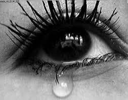http://t2.gstatic.com/images?q=tbn:ANd9GcT8Ct9c3CqTCthw36T9Kvsf_YeAJFcHy0qEIEyLEjkCth-E8THc