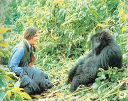 images?q=tbn:ANd9GcT8YW6etNkQEWk3Wa6jmgaCJlYiplXpVf8FNSwop-wNdGxjR3v5