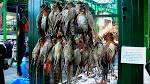 File:Game birds Borough Market.jpg - Wikipedia, the free encyclopedia