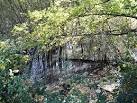 Swamp on the River Len - via Daymix