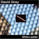 this is the first result of the google image search for 'White Ladder David Gray'