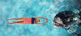 images?q=tbn:ANd9GcT8zK517mnlyAJ-rmhGri9--VuYJNYYqVMIikntplkibXi91Ltu