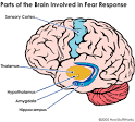 Fear