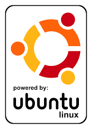 Ubuntu Server 11.04