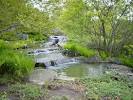 Montreal Photos - Featured Images of Montreal, Quebec - TripAdvisor