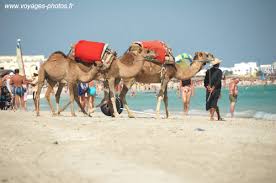 Djerba avec Roro Images?q=tbn:ANd9GcT9WYVMybyrt6sL5eejJu8BoAMzseA1o22e-PFZ1PC1m2qlUt3f9w