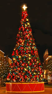 مجموعة صور لأجمل ـشجرة عيد الميلاد - صفحة 8 Images?q=tbn:ANd9GcT9ZQiuGIBDKp6fYhUtigSv2G_bAumj3OJaWYLwgWEuiszGY4wY