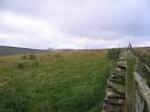NT5147 : Looking up towards Lauder Common from Scarce Law - via Daymix