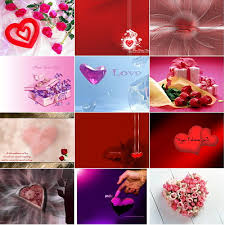 http://t2.gstatic.com/images?q=tbn:ANd9GcT9ri7kyWxm6zsBvmJgPzSw0GoCLrz_x8XUA6tleJtJgeJeHecr