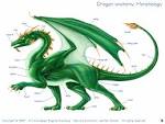  Dragon Physiology - Here Be Dragons ! Draconian.
