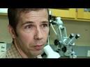 MicroTransponder   YouTube