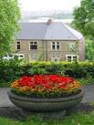Ornamental planting, Felling - via Daymix