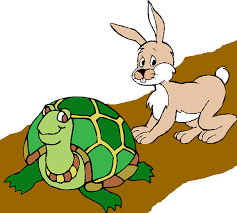 http://t2.gstatic.com/images?q=tbn:ANd9GcTA8ElEtq6t6PUl-AAC7WCqMrxPX4gfqAHAkj2EXiCAW0SRy7QubQ