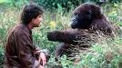 Weird Wednesday: Congo | The Soothsayer Never Sleeps