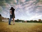 21 Brick Movie Wallpaper | Movie Wallpapers