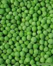 Green Peas and Changing Tastes « Friend For The Ride