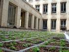 Greenroofscom Projects   Carnegie Mellon University Mellon Institute