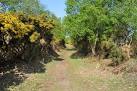 A cutting leading from the cattle creep to Walberswick station. - via Daymix