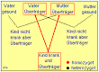 Erbgang <b>Homocystinurie</b>