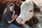 The Gentle Barn Aims to Help Children and Animals Alike | Slice of ...