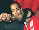 His fame in Europe stems from