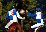 Thinking About Horses: Horseball