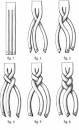 Luis Ortega's Rawhide Artistry: Braiding in the California Tradition