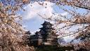 Japan Travel Information and Travel Guide   Lonely Planet