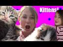 Cute Kittens, Angry Girls and