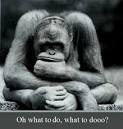 Manic Depressive Illness- Confusion and Fear of Sanity ...