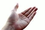 Helping <b>Hand</b> – A Helping <b>Hand</b>: