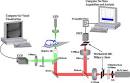 Tufts University - Optical Diagnostics for Diseased and Engineered