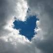 Love and Seek