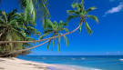  Beach Volleyball | Luxyury Beach Lifestyle News