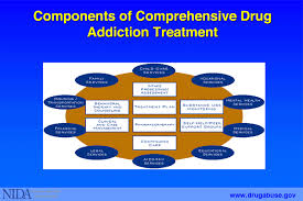 Components of Comprehensive 