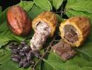 World Chocolate: Cacao