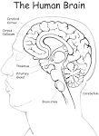 Definition Of <b>Epilepsy</b>