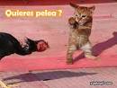 QUIERES PELEA?