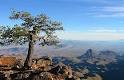 BIG BEND NATIONAL PARK travel guide - Wikitravel