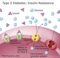 Carbology 103 – Insulin Resistance Vs Insulin Sensitivity ...