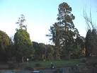 Looking east to Soissy-sur-Seine Gardens, Westbury, named to commemorate a - via Daymix
