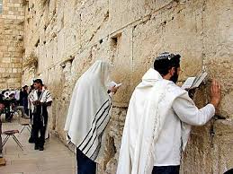 The Elect in the Tribulation are the Jews